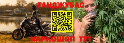 индика Мариинск