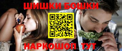индика Мариинск