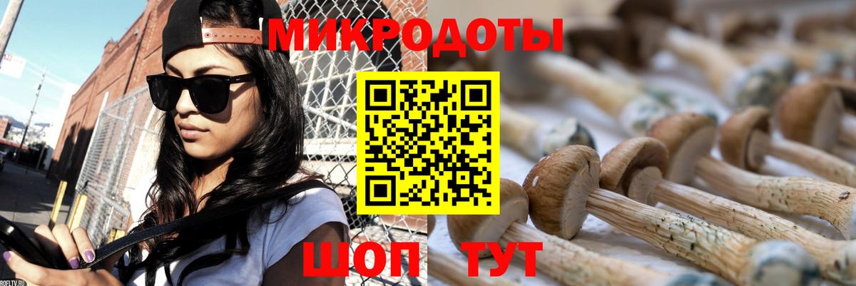 Псилоцибиновые грибы Psilocybe  Вход с VPN  наркошоп  Юрга 